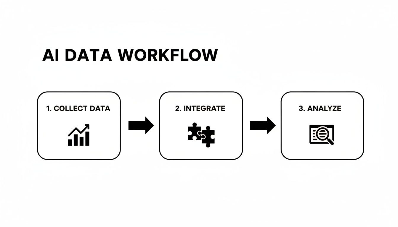 Diagram illustrating a three-step AI data workflow: Collect Data, Integrate, and Analyze, with icons.